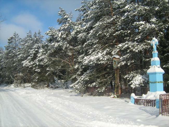 Villa Wypoczynek U Piotra Susiec Exterior foto